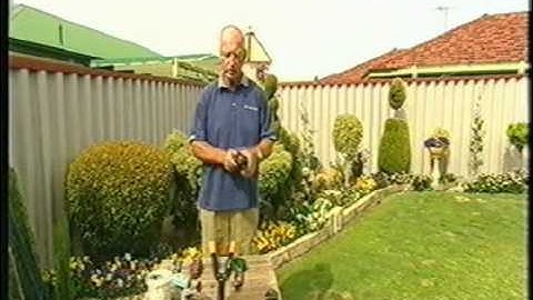 Easy Topiary pt 1: tools