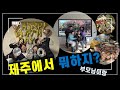 [제주여행 브이로그] 부모님이랑 제주여행 즐거웠던 환갑여행💙