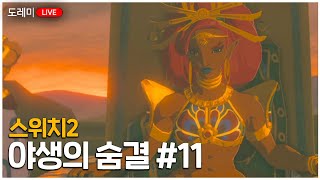 [도레미LIVE]나보리스 클리어하기!영걸들의 노래|스위치2 젤다 야숨 11화