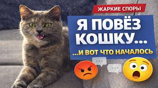 Влог, можно ли возить кошку на машине? Отвечаю на ваши комментарии