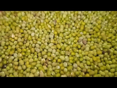 Video: Cara Membuat Tepung Kacang