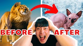 Korean GUY Trying BRAZILIAN WAXING for the FIRST time | A DAY IN MY LIFE IN KOREA