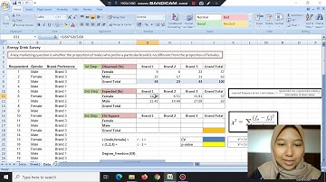Using Microsoft Excel for Chi Square Independence Test