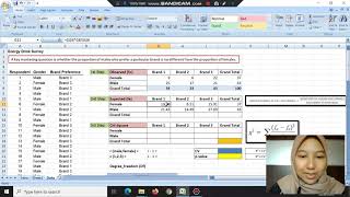 Using Microsoft Excel for Chi Square Independence Test