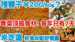 Must Eat！¥200/50g！Cantonese Top Ingredients！Michelin Restaurant！Canton Food Tour 2024|GUANGZHOU 4K