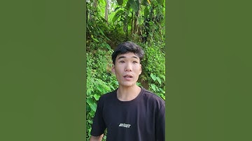 Cọp Kè #vanthuyvlog #shorts