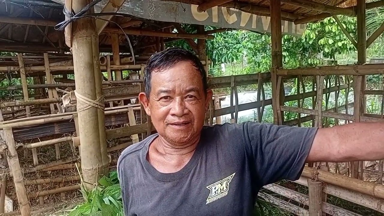 OBSERVASI & WAWANCARA PETERNAKAN KAMBING DI PEKARANGAN RUMAH