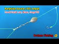 Berpotensi Strike!! Rangkaian Pancing Dasaran 3 Kail - Bottom Fishing