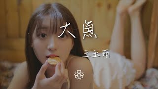 王玉萌 - 大魚『海浪無聲將夜幕深深淹沒』【動態歌詞Lyrics】