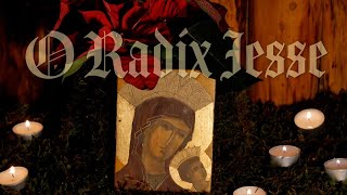 O RADIX IESSE: O Antiphon and Magnificat (3/7)