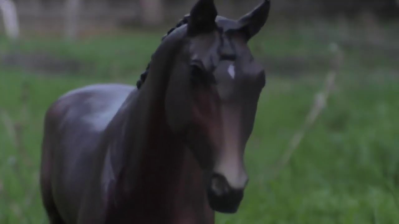Breyer Horse Movie Royalty S2 part 2 YouTube