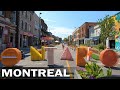Montreal Hochelaga-Maisonneuve Ontario Promenade Walking Tour (Part 3 of 4)