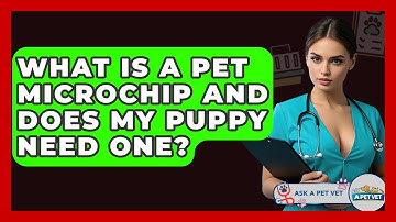 What Is A Pet Microchip And Does My Puppy Need One? - Ask A Pet Vet