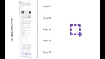 Page Screenshot - Browser Extension Review
