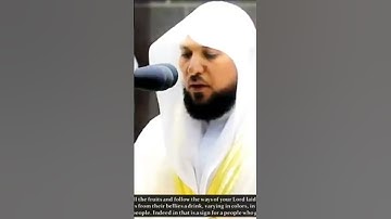ما تيسر من سورة النحل بصوت الشيخ ماهر المعيقلي من الحرم