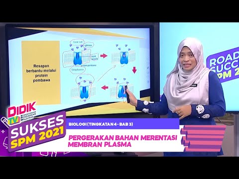 Video: Adakah benar dalam pengangkutan pasif pergerakan zarah merentasi membran memerlukan tenaga?