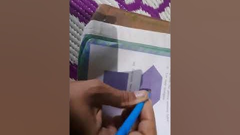 Chapter 5 Shapes and Designs Class 3 Maths Part 3 by Renu Rathi