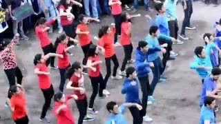 FLASH MOB VIIT 2016