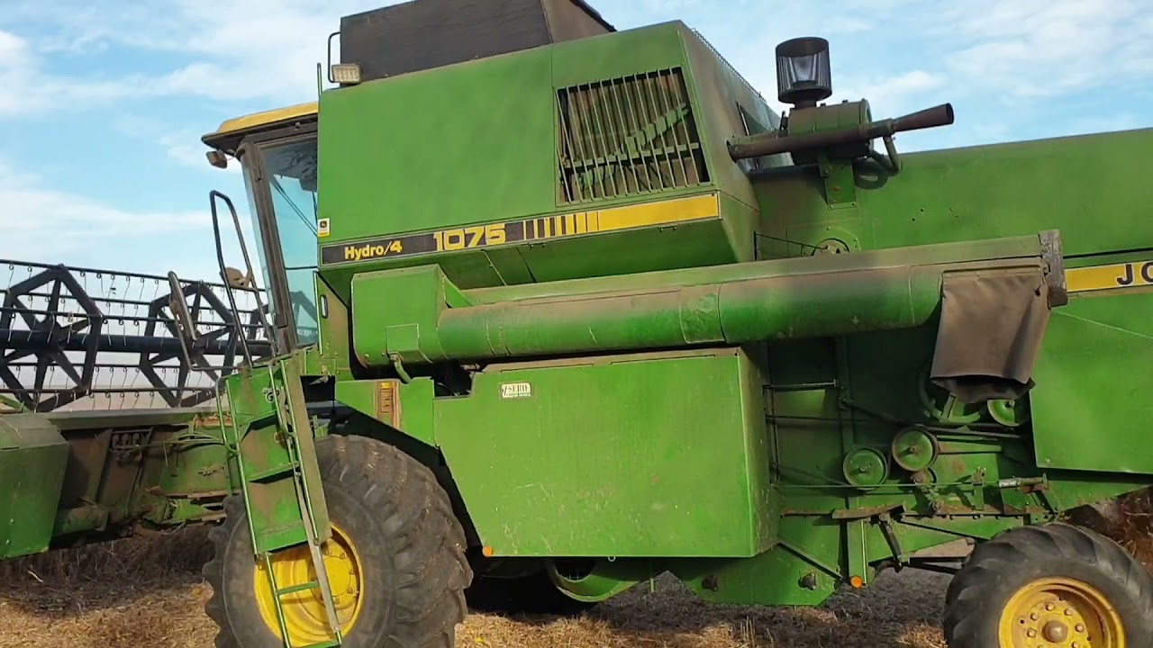 Үлкен мүшесі жаман баланың ойнақы есегін жазалайды Салқын эротика онлайн жақсы сапада