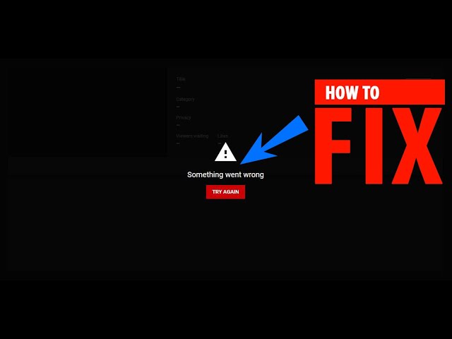 How To Fix Something Went Wrong Error In Youtube Live Streaming Youtube