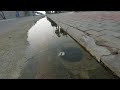 Drain Complaint 211 | Draining a street's blocked drain 🚫 |