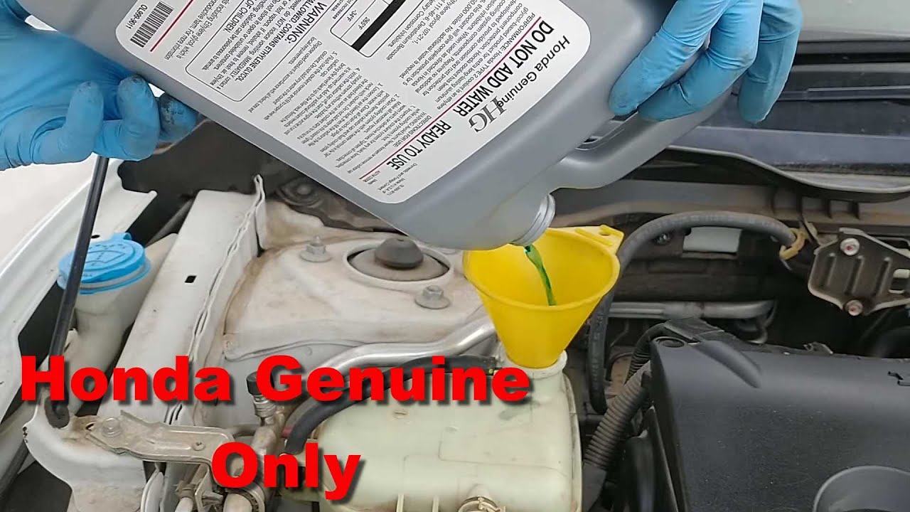 How to replace antifreeze, coolant of 16 - 20 Honda Civic non turbo ...