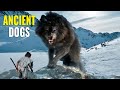 9 Most AMAZING Prehistoric Dogs!