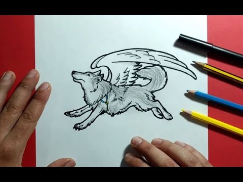 Como dibujar un lobo paso a paso 7 | How to draw a wolf 7 - YouTube