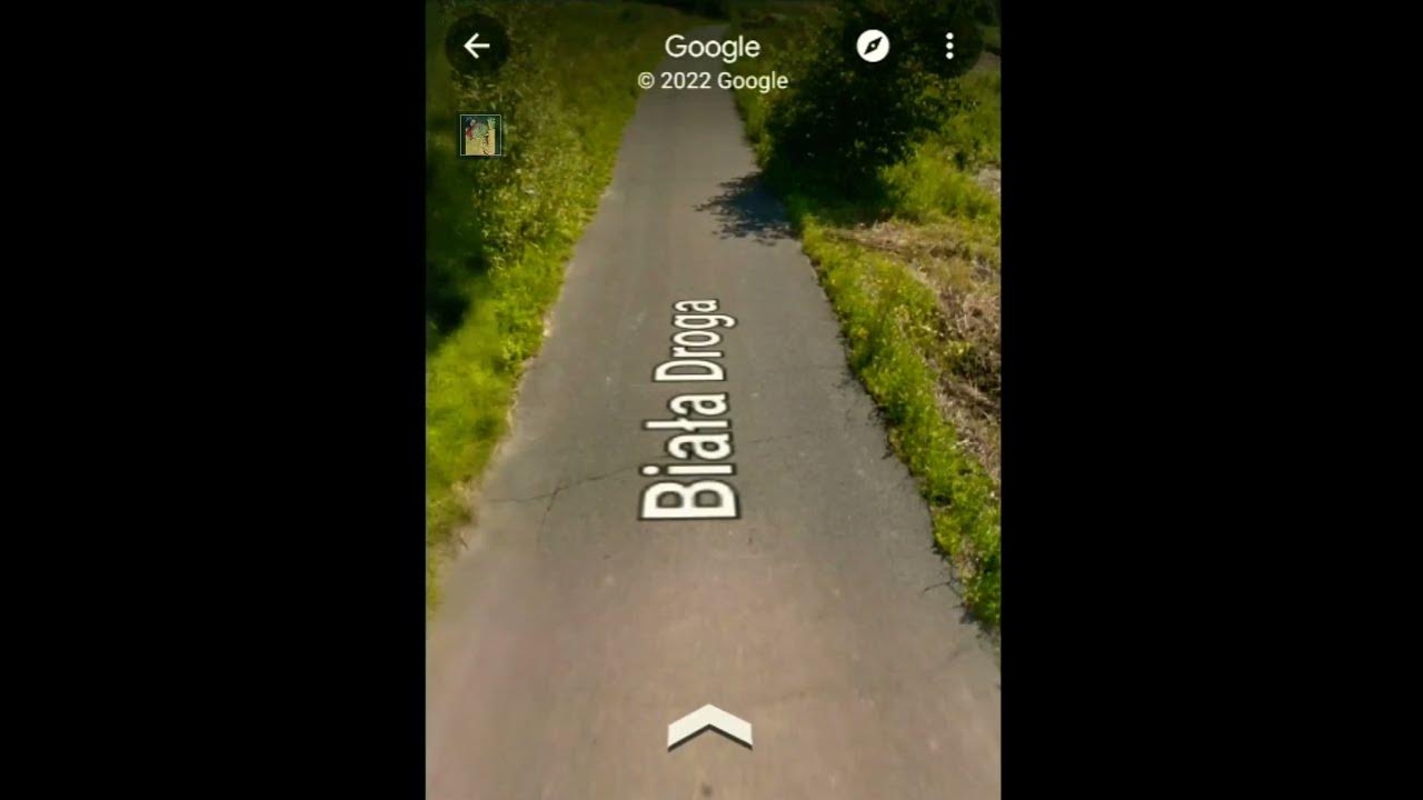 I saw a flying rabbit on google maps 😂 shorts map rabbit YouTube