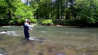 Trout Fishing Basics - In The Spread