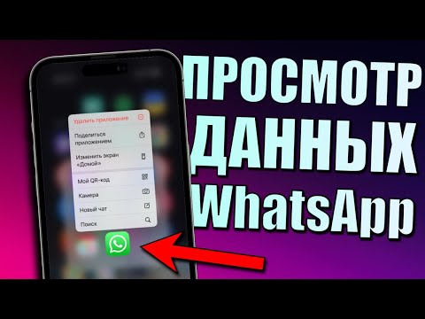 Как восстановить удаленные сообщения, переписки WhatsApp и чаты WhatsApp? (Поддержка iOS и Android)