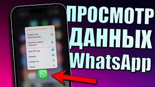 Как восстановить удаленные сообщения, переписки WhatsApp и чаты WhatsApp? (Поддержка iOS и Android)