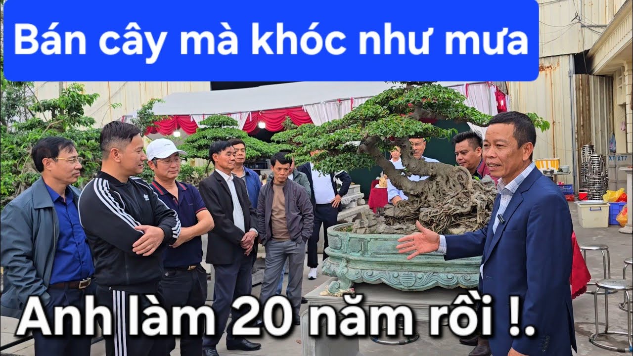 Bán cây cầm tiền mà anh khóc như mưa. Đứa con tinh thần của anh