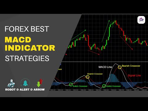 All in One MACD Indicator Basic & Scalping  Strategy for Forex Trading