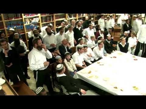 עו"ד דוד זעירא | מלוה מלכה בישיבת "בית צבי" בבית אל - 03 ריקוד לרבינו ה"דברי ישראל"