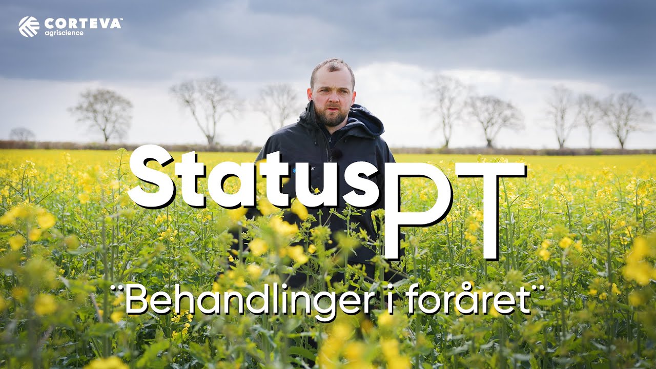 Status PT ¨Behandlinger i foråret¨  (Raps)