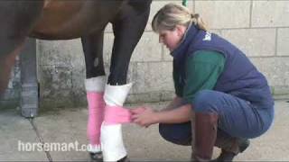 Bandaging Your Horse, Naylors Blog