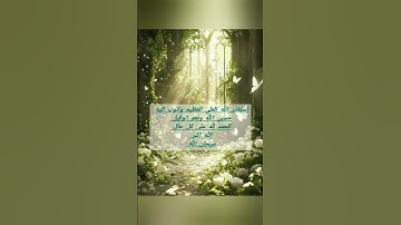 القران الكريم 💙🌿 #اكسبلور #العراق #لايك #يافاطمه
