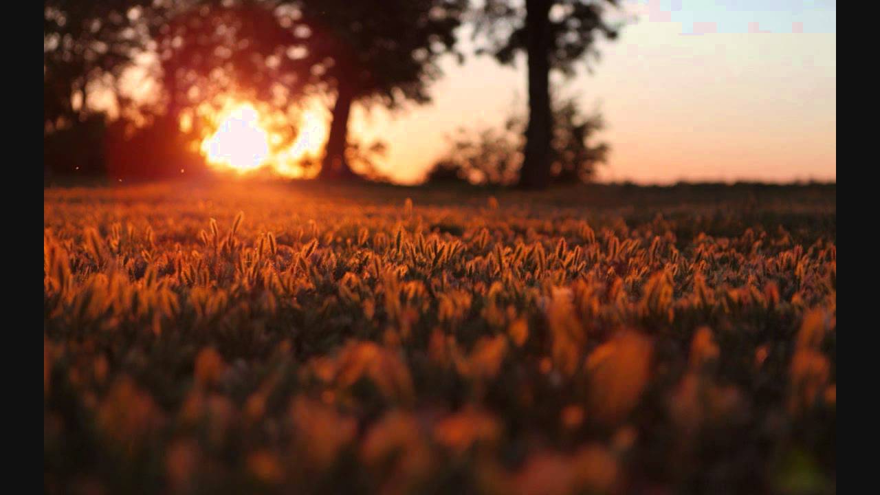 faith-and-the-muse-frater-ave-atque-vale-youtube