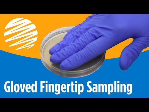 Agar Sample