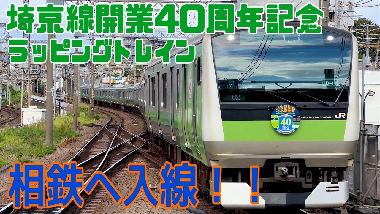 鉄道ふれあいフェア 型番10-2108Z　E233系埼京線開業40周年記念車両 型番10-2108Z E233系埼京線開業40周年記念ラッピング 限定品 - メルカリ