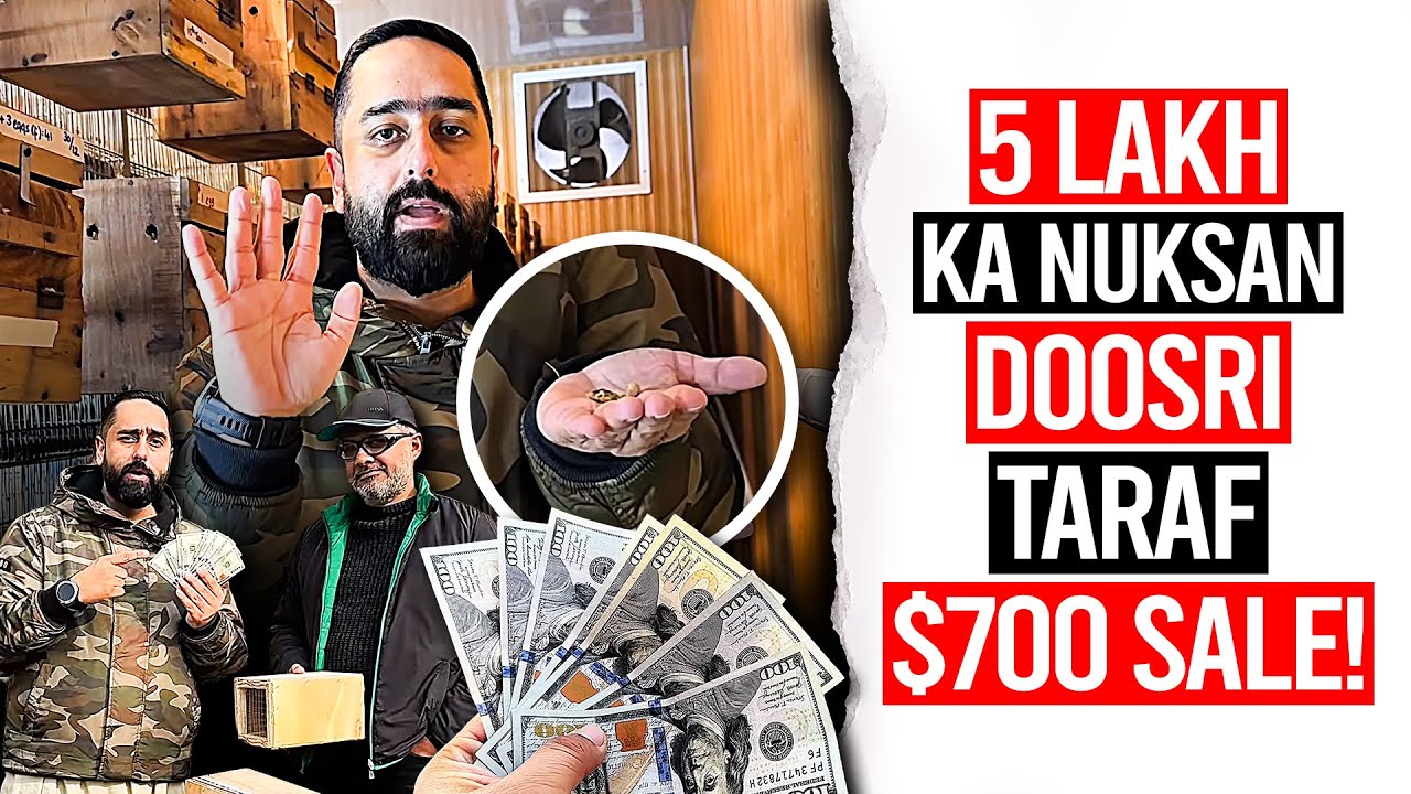 5 Lakh Ka Nuksan... Doosri Taraf $700 