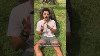 Full Statute of limitations for a car accident in Hawaii News