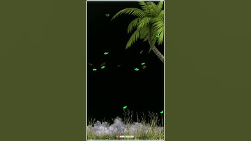 tree leaf falling 3d avee player template|tree leaf black screen background video|tree green screen|