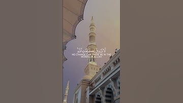 تلاوة تهز القلب وتنعش الروح | صوت خاشع يأخذك إلى عالم السكينة ✨