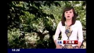 三立新聞【梨山農悲歌】20131022
