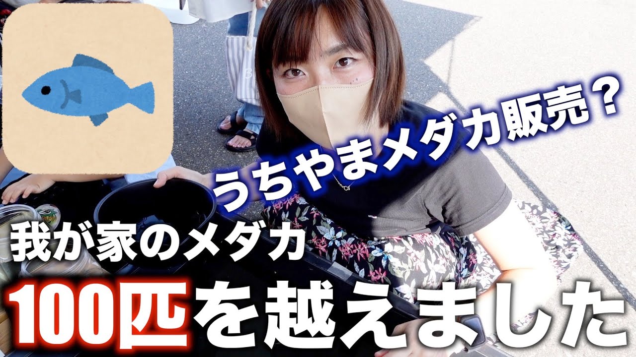 道の駅でメダカすくいしながら最近の悩みを打ち明ける・・・うちやま