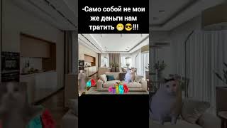 #ютуб #cat #мемасики 😁😎🤣