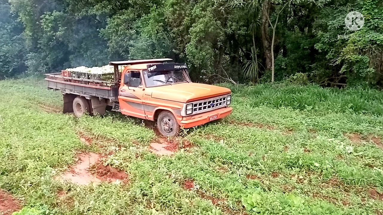 f4000 turbo diretão fazendo a turbina pia na roça 👍