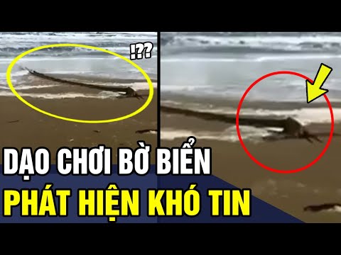 Video Phát Hiện THỦY QUÁI Ngoài Bờ Biển Người Đàn Ông Th.ất... - youtube
